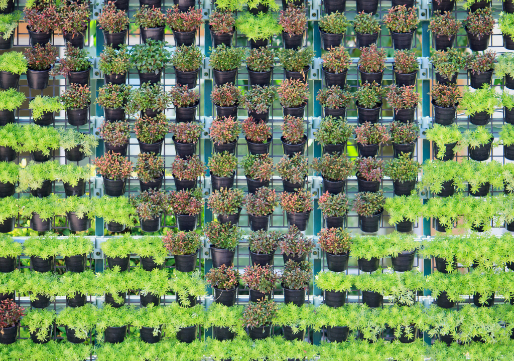 Vertical Garden