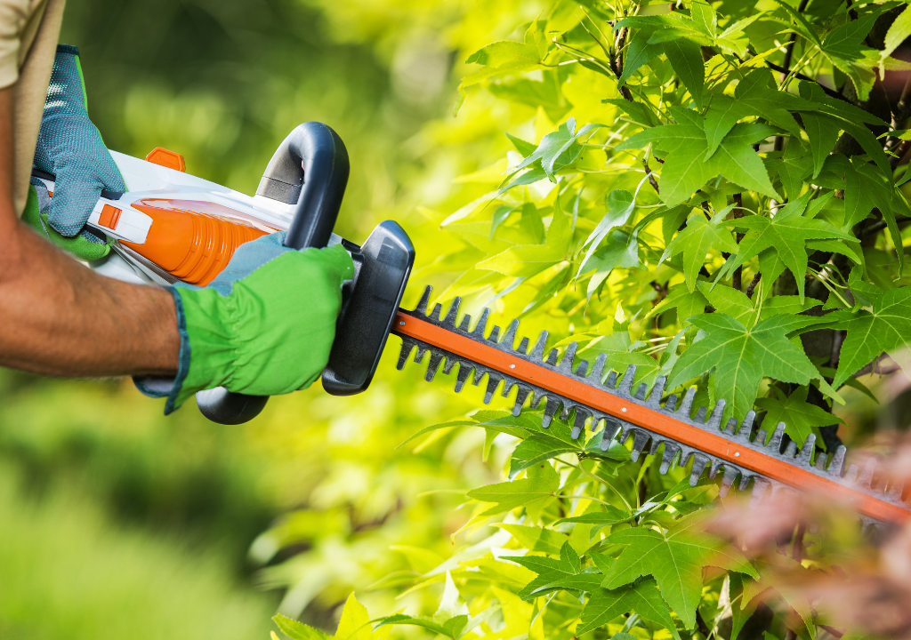 Trimming and Pruning