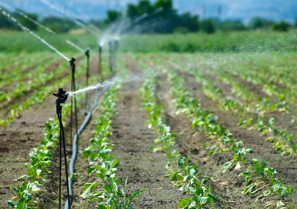 Irrigation Maintenance