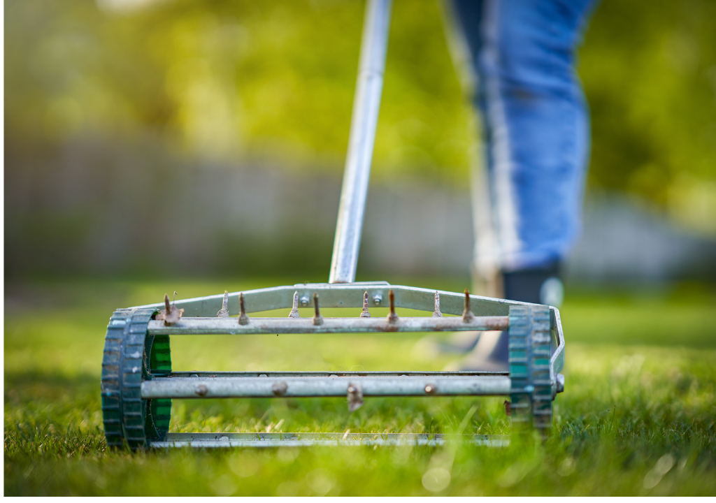 Lawn Aeration