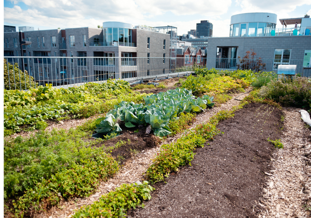 Terrace garden