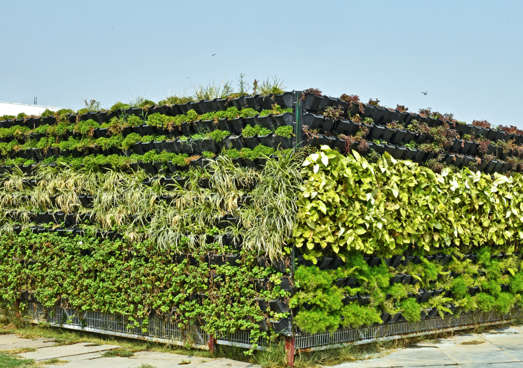 Vertical Garden