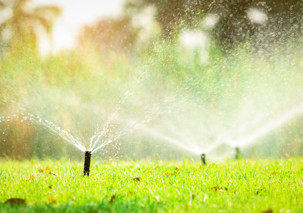 Landscape Irrigation