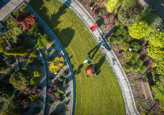 Lawn Aeration