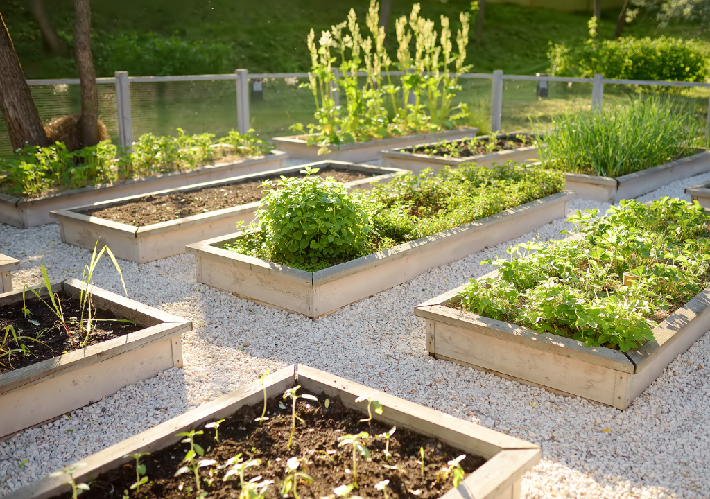 Kitchen Garden