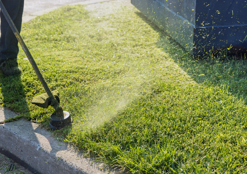 Weed care