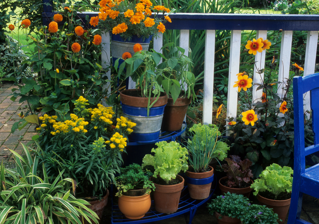 Balcony Garden