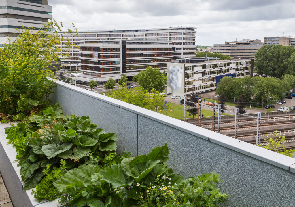 Terrace garden