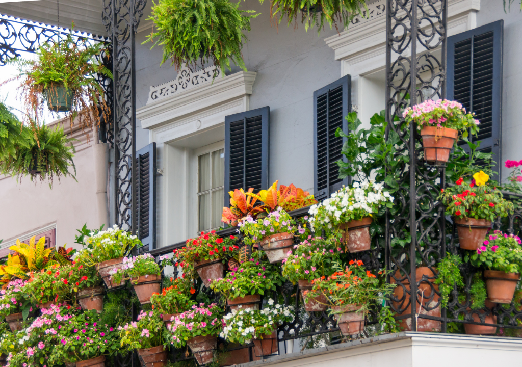 Balcony Garden