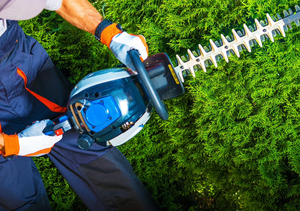 Tree and Shrub Care