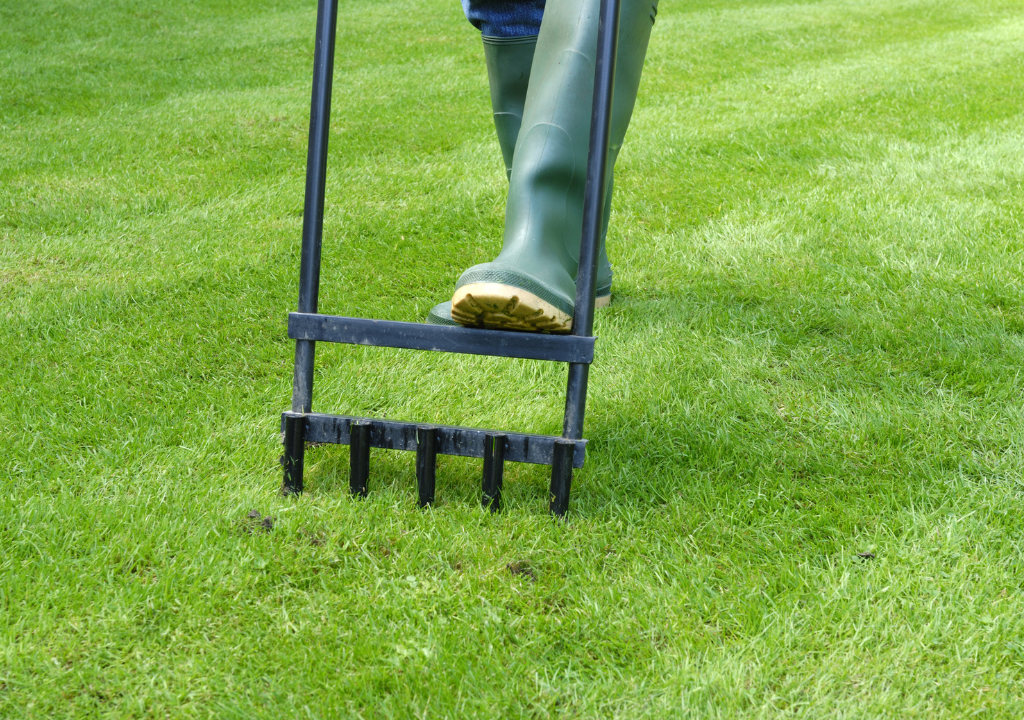 Lawn Aeration