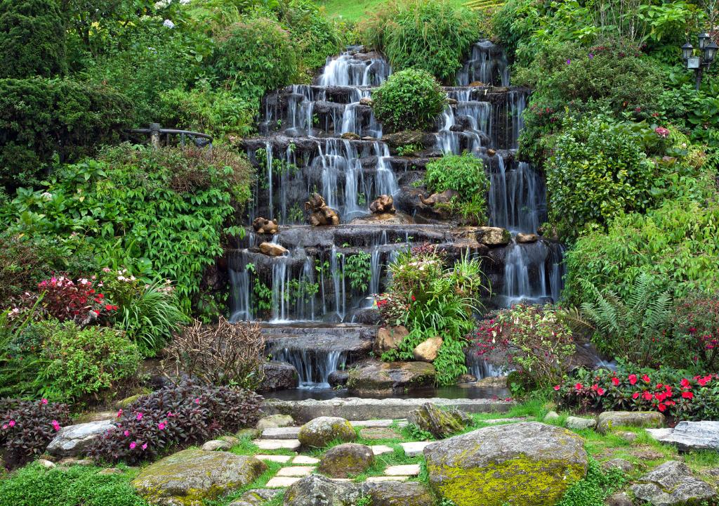 Vertical Garden