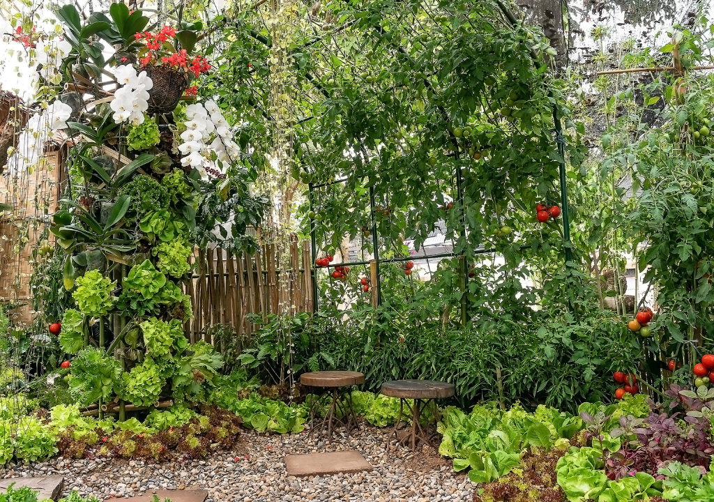 Kitchen Garden