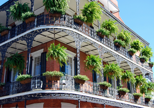 Balcony Garden