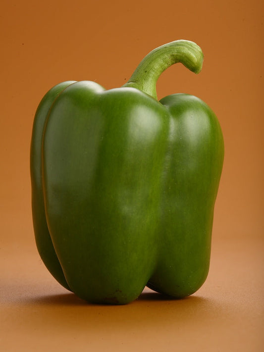 Capsicum (Green)