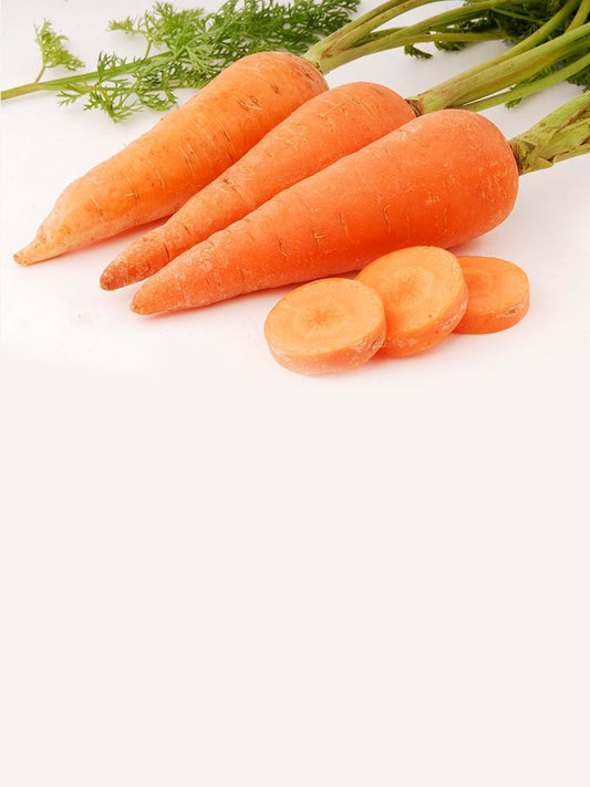 Carrot