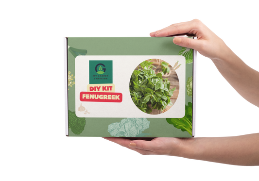 Methi/Fenugreek DIY Kit