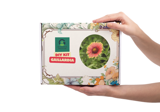 Gaillardia Flowers DIY Kit