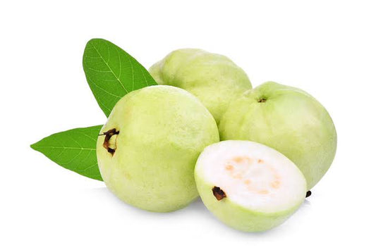 Guava Allahabad safeda