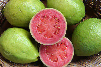 Guava Taiwan pink