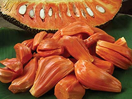 Jackfruit Thailand red