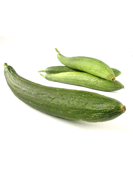 Luffa ( Sponge Gourd )