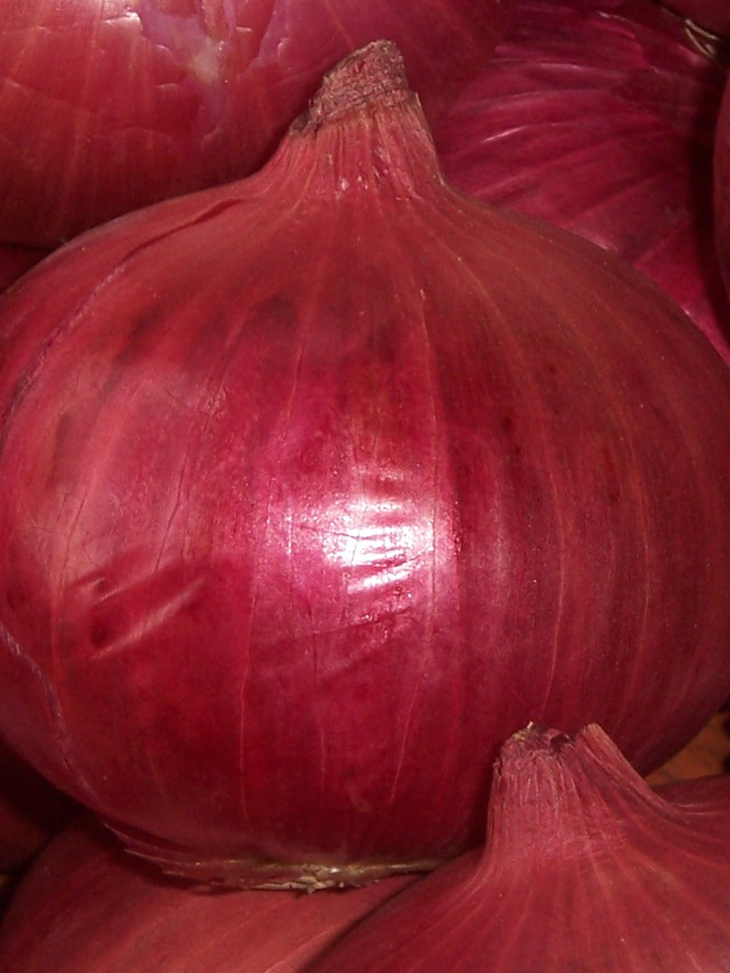 Onion