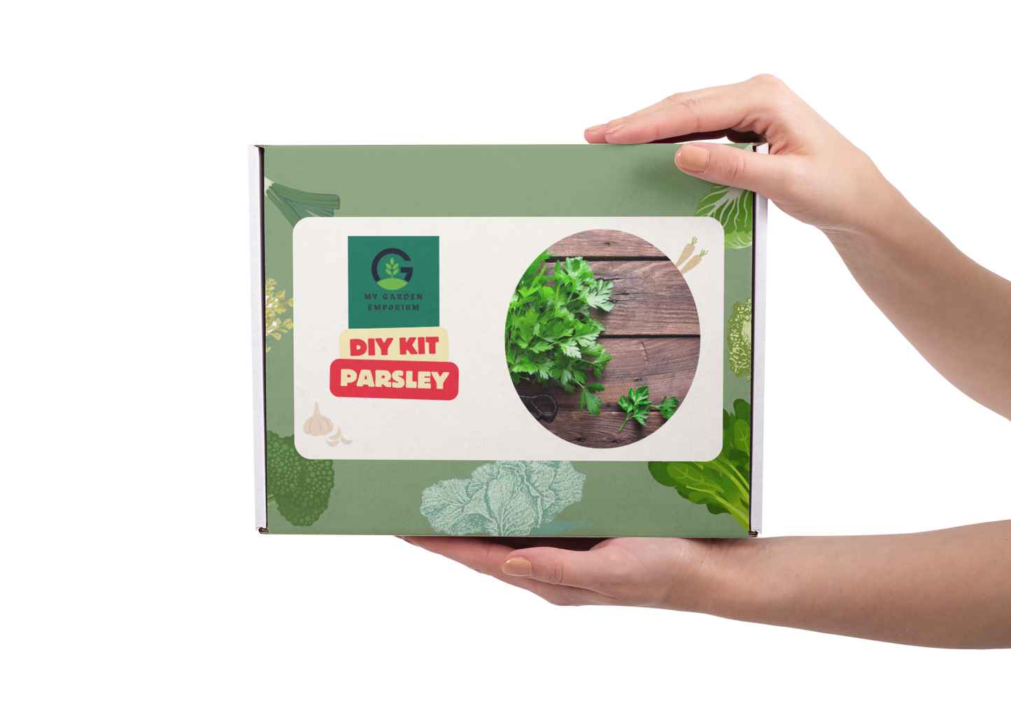 Parsley Herb DIY Kit