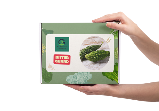 Karela/ Bitter Gourd DIY Kit