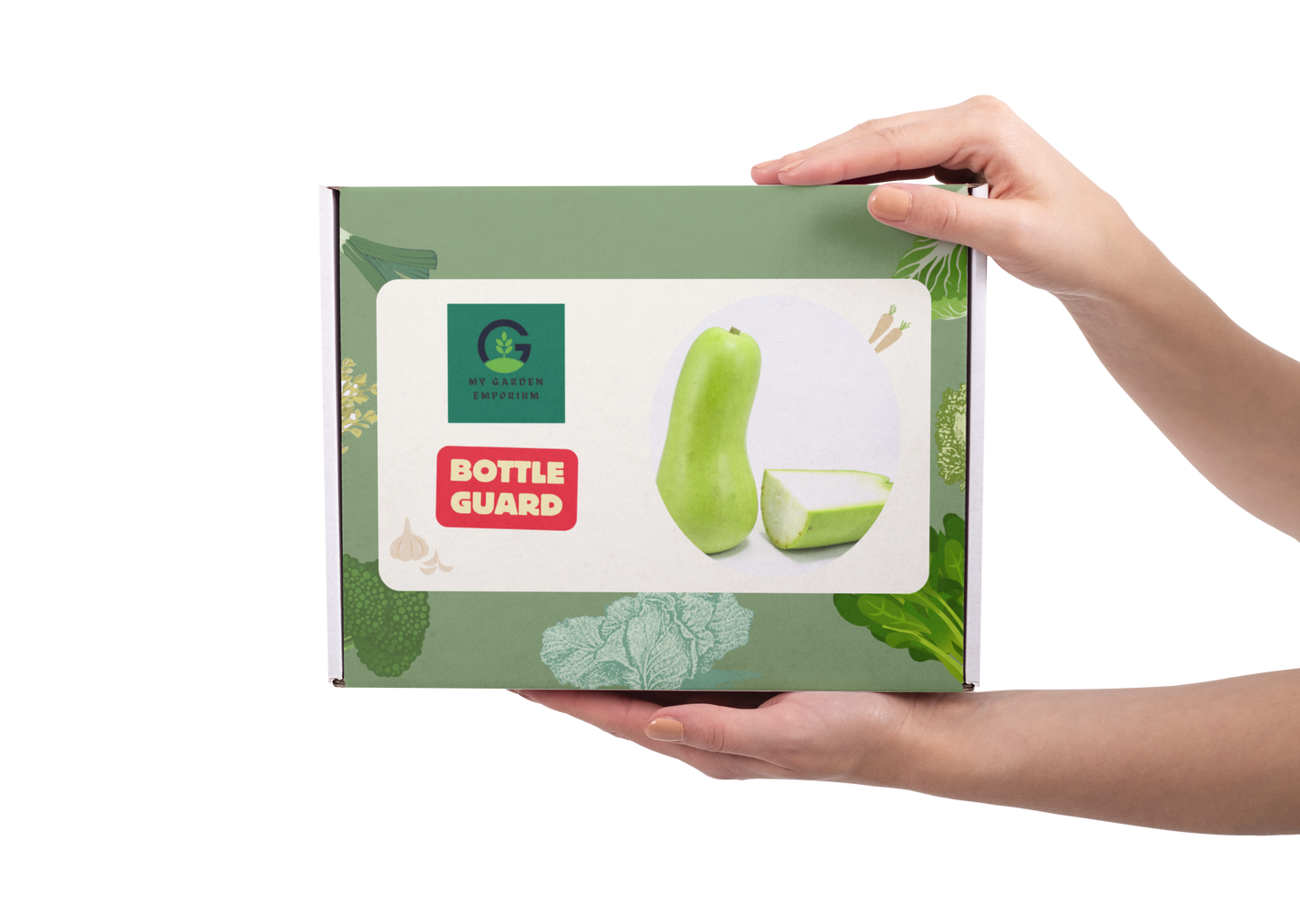 Gheeya/ Bottle Gourd DIY Kit