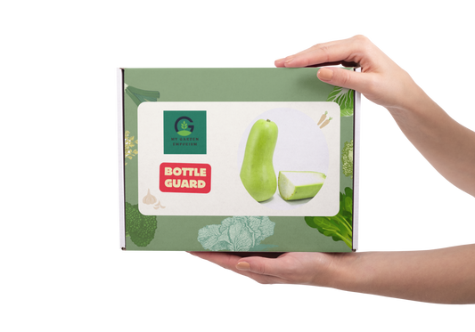 Gheeya/ Bottle Gourd DIY Kit