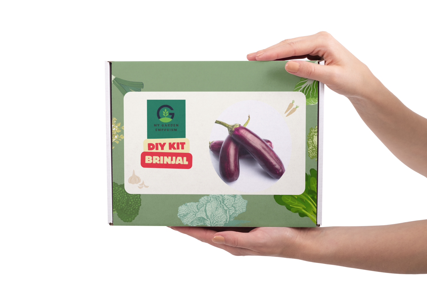 Brinjal DIY Kit