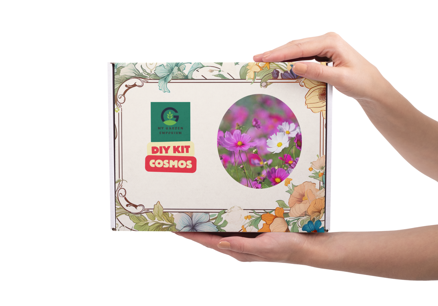 Cosmos Flowers DIY Kit