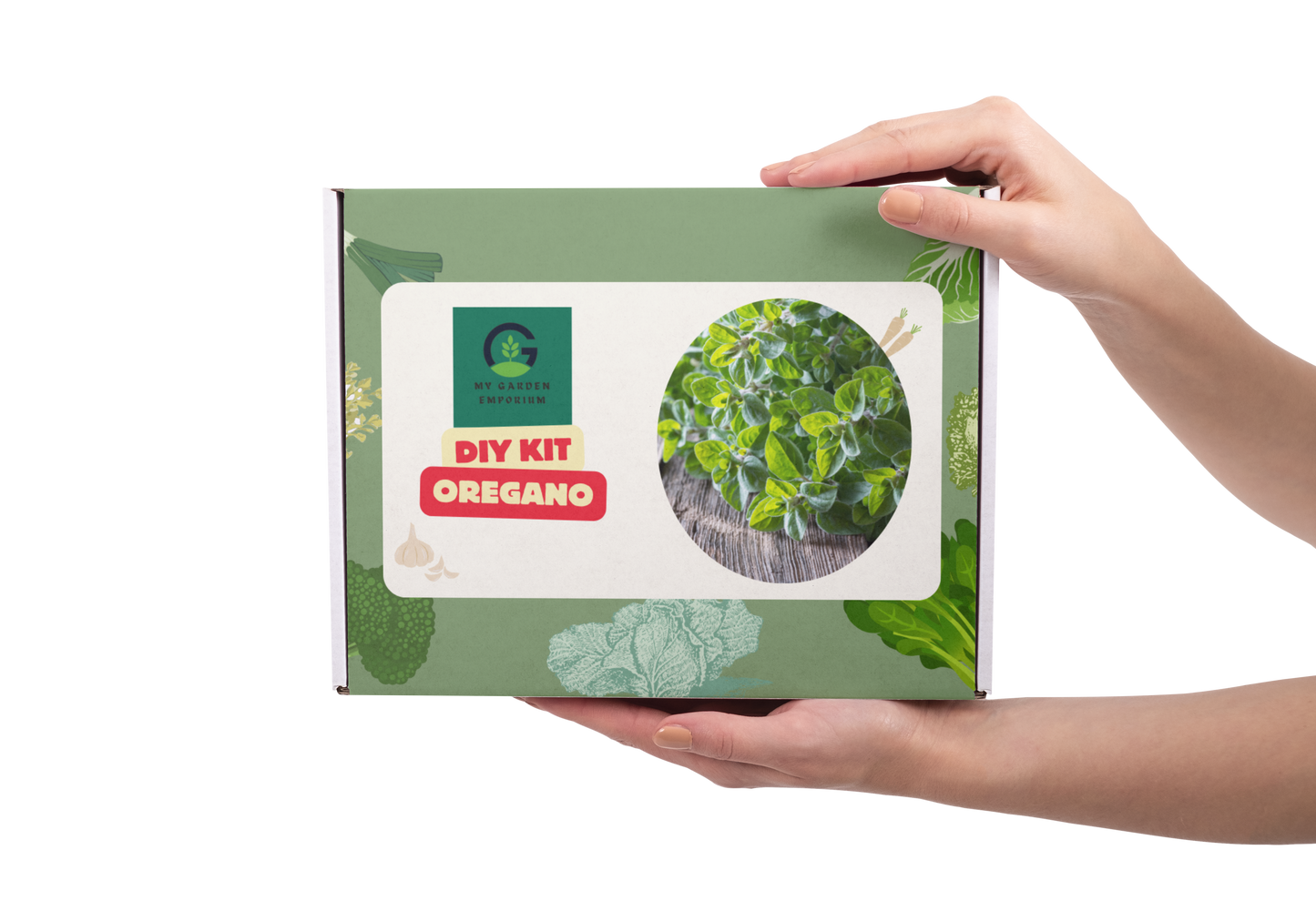 Oregano DIY Kit