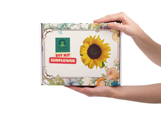 Sunflower DIY Kit