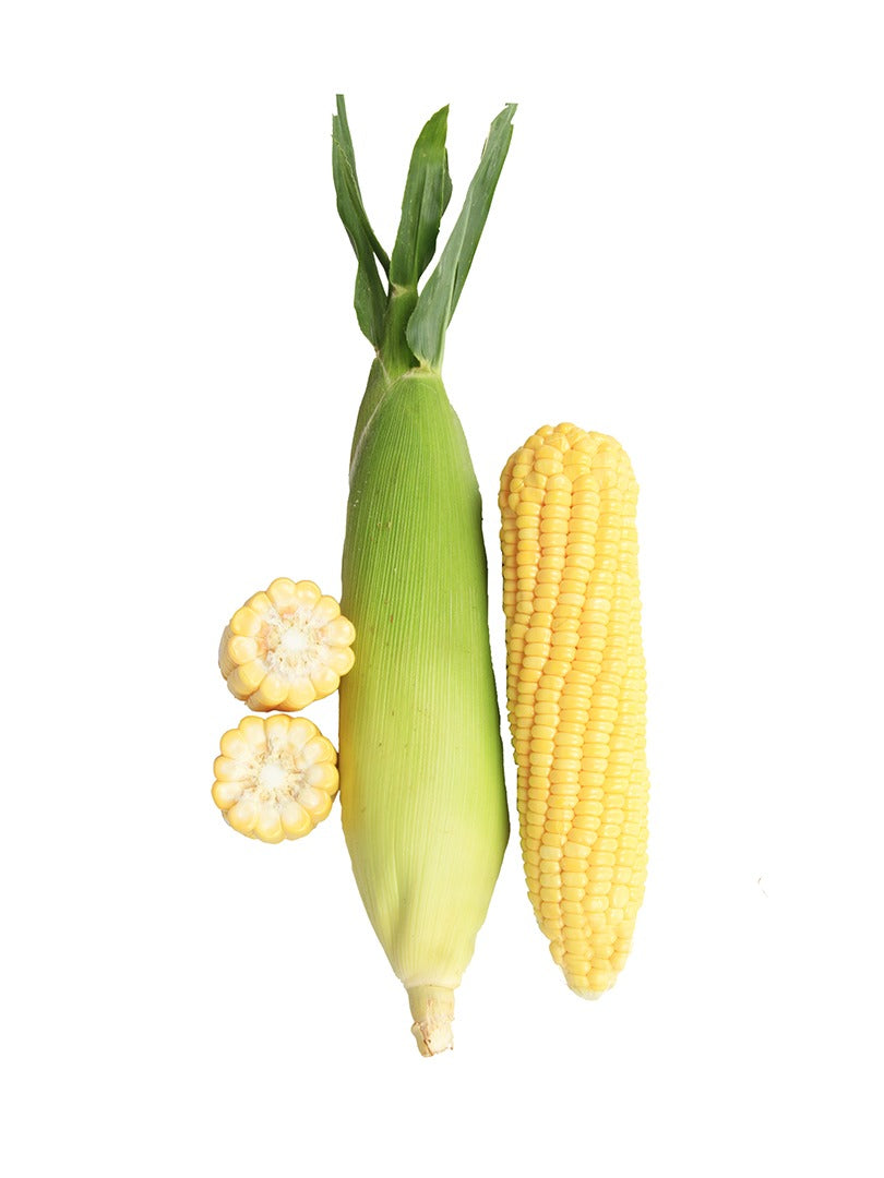 Sweet Corn