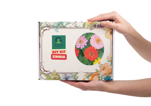 Zinnia Flowers DIY Kit